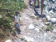 Abrolhos fotos - Aves marinhas