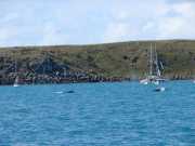 Abrolhos fotos - Baleias Jubarte