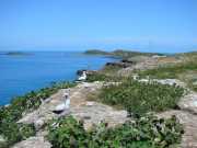 Fotos Abrolhos - Ilhas de Abrolhos