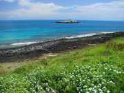 Fotos Abrolhos - Ilhas de Abrolhos