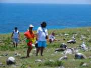 Fotos Abrolhos - Ilhas de Abrolhos