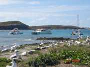 Fotos Abrolhos - Ilhas de Abrolhos