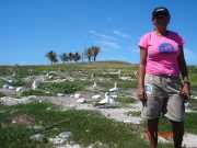 Fotos Abrolhos - Ilhas de Abrolhos