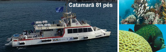 Operadora mergulho em Abrolhos, BA - Catamar 